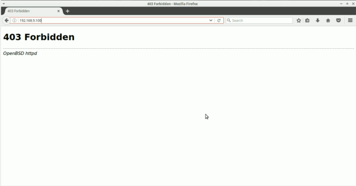 OpenBSD WebServer - 403 Forbidden