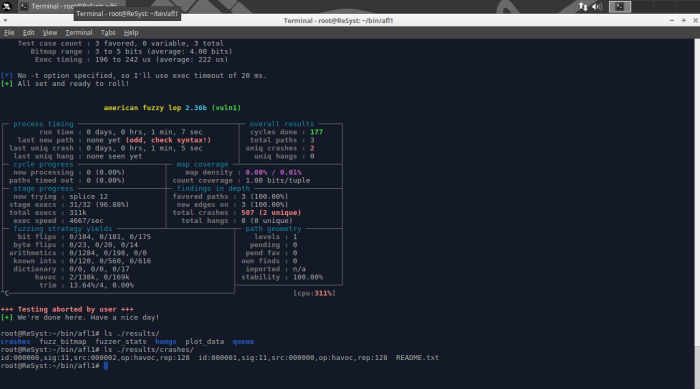 Fuzzing Vuln1 with AFL - Results